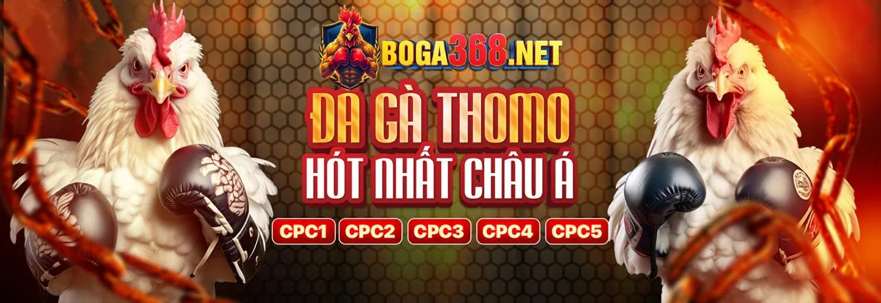 Sân đấu đá gà kịch tính tại dagac3 bet